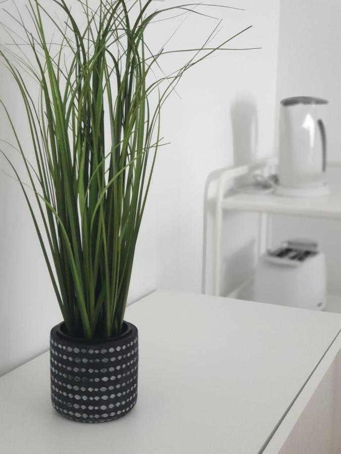 Palmeira Comfort Aveiro Extérieur photo